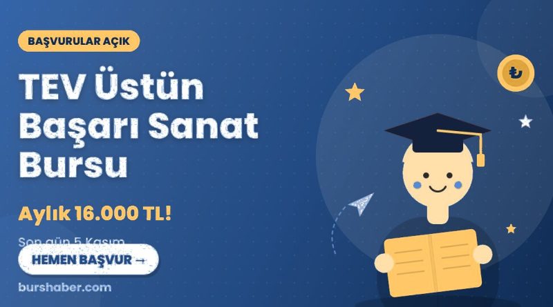 TEV Üstün Başarı Sanat Bursu burs haberi